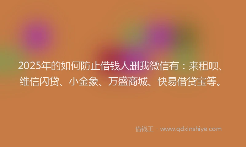 2025年的如何防止借钱人删我微信有：来租呗、维信闪贷、小金象、万盛商城、快易借贷宝等。