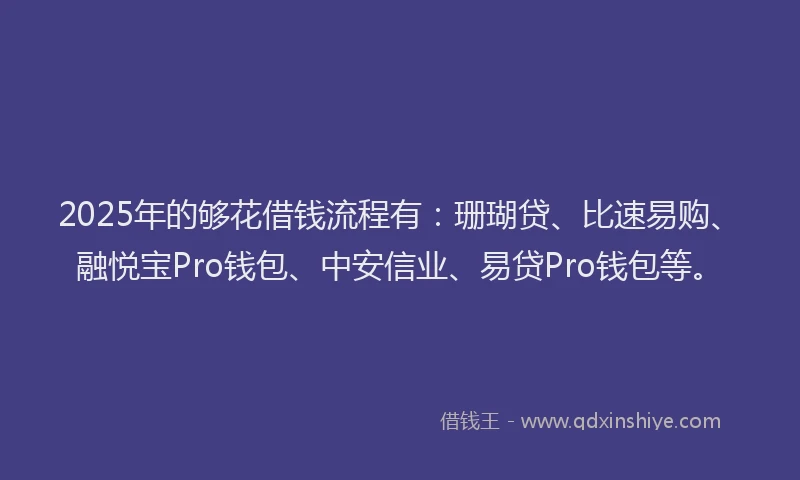 2025年的够花借钱流程有：珊瑚贷、比速易购、融悦宝Pro钱包、中安信业、易贷Pro钱包等。