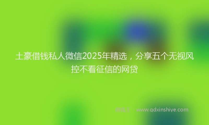 土豪借钱私人微信2025年精选，分享五个无视风控不看征信的网贷