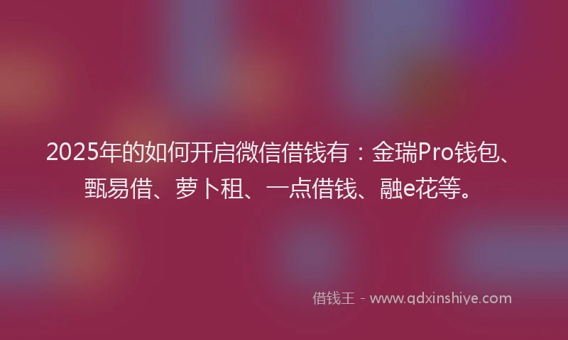 2025年的如何开启微信借钱有：金瑞Pro钱包、甄易借、萝卜租、一点借钱、融e花等。