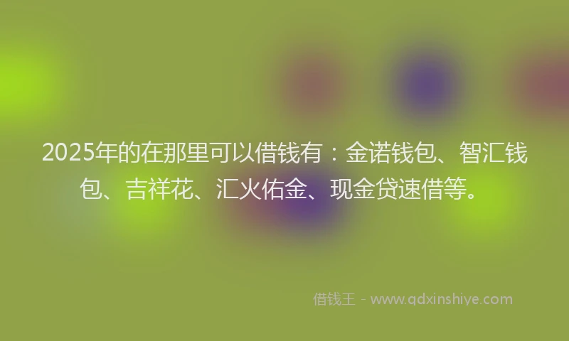 2025年的在那里可以借钱有：金诺钱包、智汇钱包、吉祥花、汇火佑金、现金贷速借等。