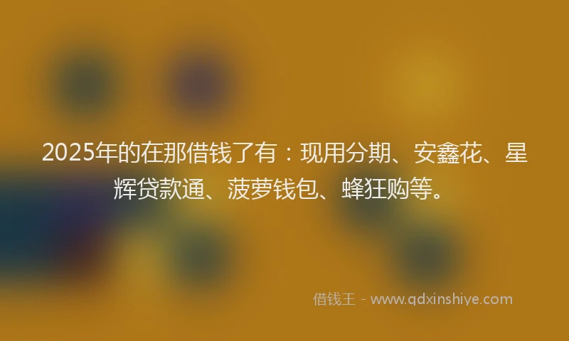 2025年的在那借钱了有：现用分期、安鑫花、星辉贷款通、菠萝钱包、蜂狂购等。