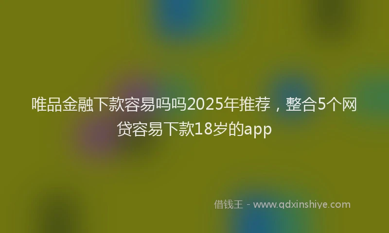 唯品金融下款容易吗吗2025年推荐，整合5个网贷容易下款18岁的app