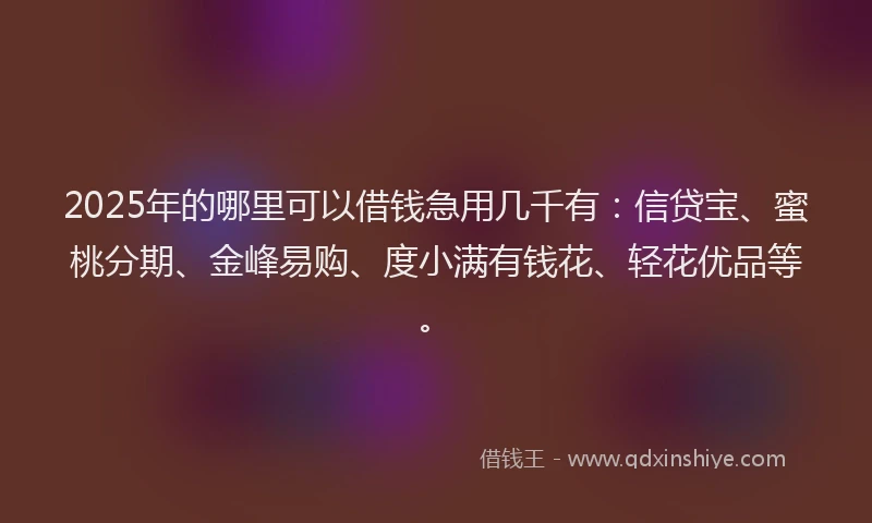 2025年的哪里可以借钱急用几千有：信贷宝、蜜桃分期、金峰易购、度小满有钱花、轻花优品等。