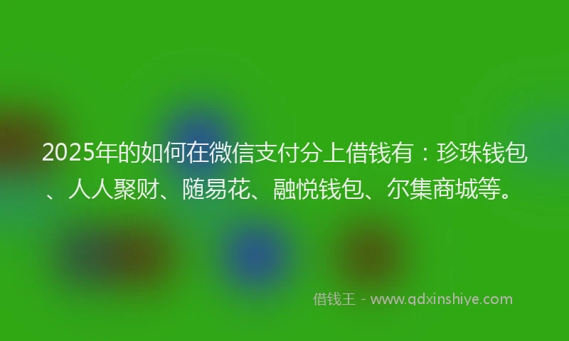 2025年的如何在微信支付分上借钱有：珍珠钱包、人人聚财、随易花、融悦钱包、尔集商城等。