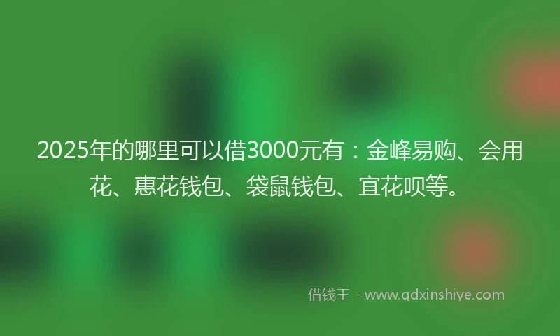 2025年的哪里可以借3000元有：金峰易购、会用花、惠花钱包、袋鼠钱包、宜花呗等。