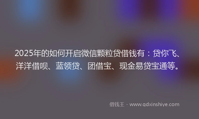 2025年的如何开启微信颗粒贷借钱有：贷你飞、洋洋借呗、蓝领贷、团借宝、现金易贷宝通等。