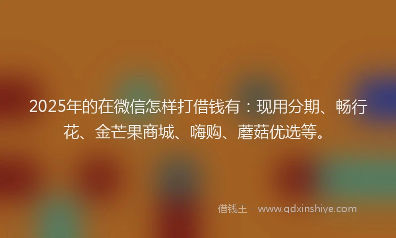 2025年的在微信怎样打借钱有：现用分期、畅行花、金芒果商城、嗨购、蘑菇优选等。