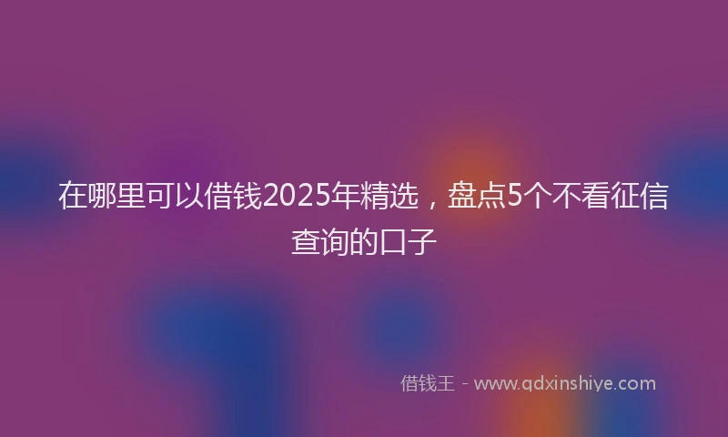 在哪里可以借钱2025年精选，盘点5个不看征信查询的口子