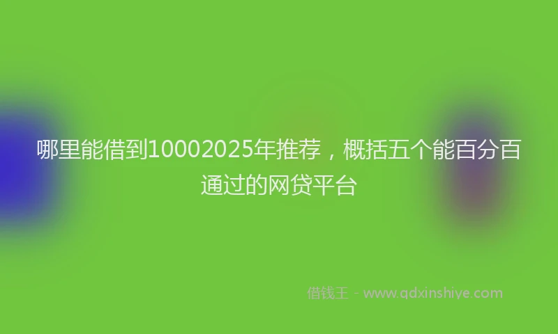 哪里能借到10002025年推荐，概括五个能百分百通过的网贷平台