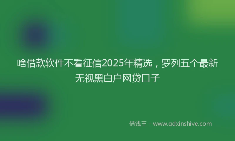 啥借款软件不看征信2025年精选，罗列五个最新无视黑白户网贷口子