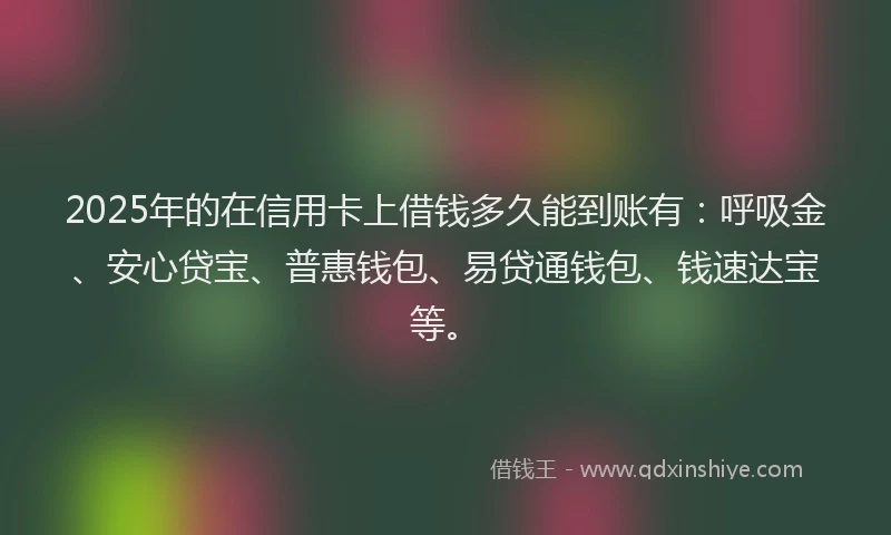 2025年的在信用卡上借钱多久能到账有：呼吸金、安心贷宝、普惠钱包、易贷通钱包、钱速达宝等。