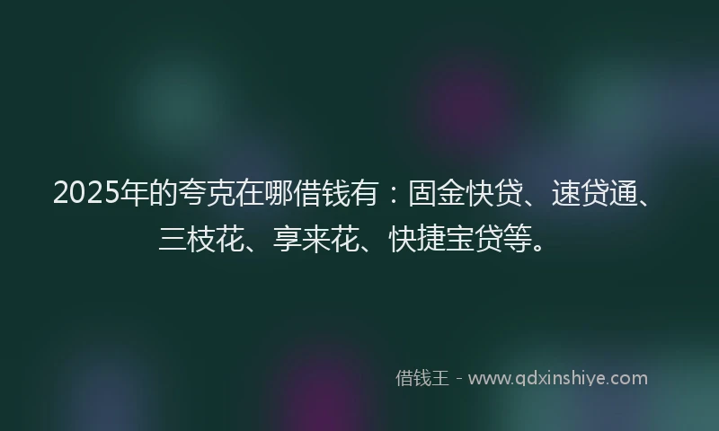 2025年的夸克在哪借钱有：固金快贷、速贷通、三枝花、享来花、快捷宝贷等。