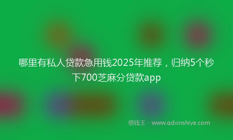哪里有私人贷款急用钱2025年推荐，归纳5个秒下700芝麻分贷款app