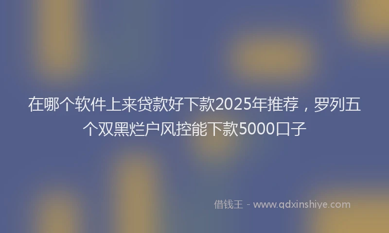 在哪个软件上来贷款好下款2025年推荐，罗列五个双黑烂户风控能下款5000口子