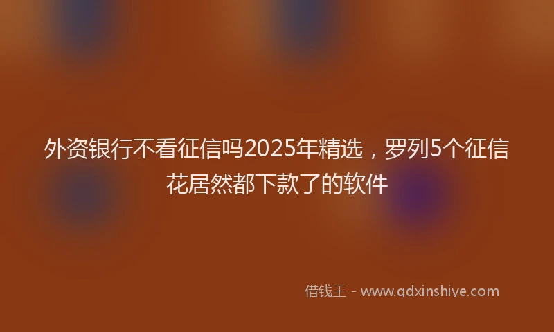 外资银行不看征信吗2025年精选，罗列5个征信花居然都下款了的软件
