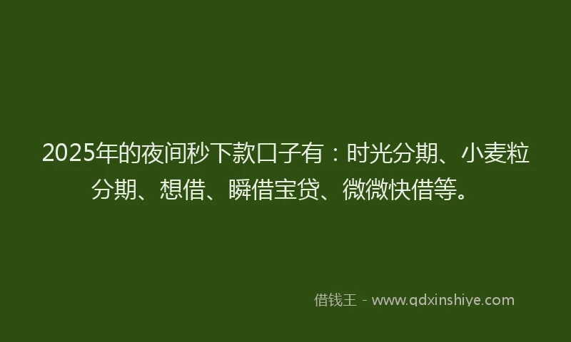 2025年的夜间秒下款口子有：时光分期、小麦粒分期、想借、瞬借宝贷、微微快借等。