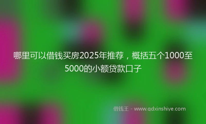 哪里可以借钱买房2025年推荐，概括五个1000至5000的小额贷款口子