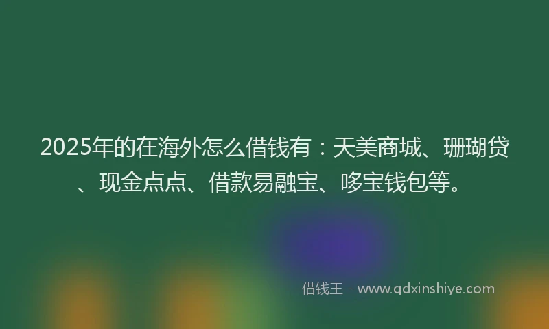 2025年的在海外怎么借钱有：天美商城、珊瑚贷、现金点点、借款易融宝、哆宝钱包等。