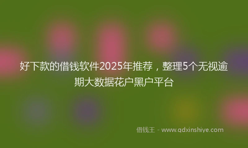 好下款的借钱软件2025年推荐，整理5个无视逾期大数据花户黑户平台