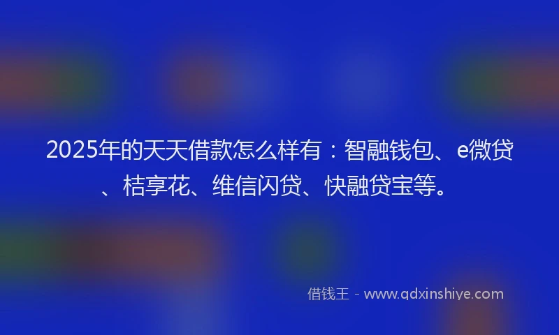 2025年的天天借款怎么样有：智融钱包、e微贷、桔享花、维信闪贷、快融贷宝等。
