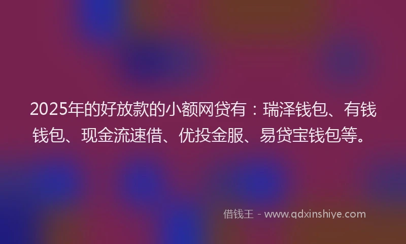 2025年的好放款的小额网贷有：瑞泽钱包、有钱钱包、现金流速借、优投金服、易贷宝钱包等。