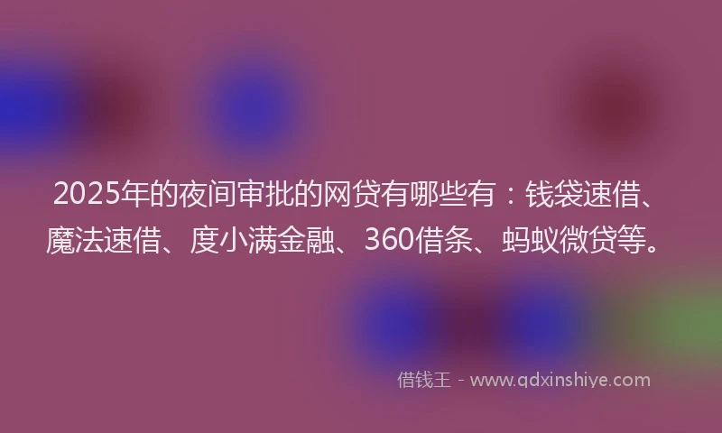 2025年的夜间审批的网贷有哪些有：钱袋速借、魔法速借、度小满金融、360借条、蚂蚁微贷等。
