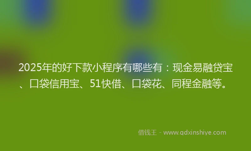 2025年的好下款小程序有哪些有：现金易融贷宝、口袋信用宝、51快借、口袋花、同程金融等。