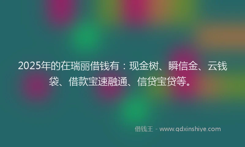 2025年的在瑞丽借钱有：现金树、瞬信金、云钱袋、借款宝速融通、信贷宝贷等。