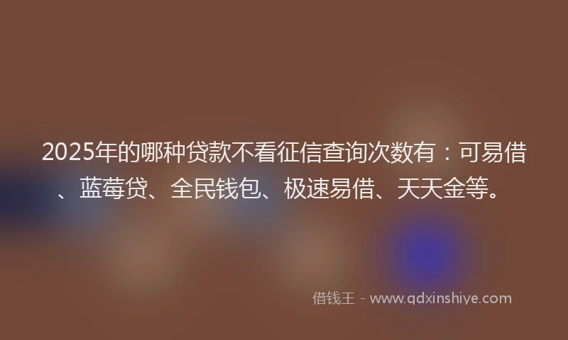 2025年的哪种贷款不看征信查询次数有：可易借、蓝莓贷、全民钱包、极速易借、天天金等。
