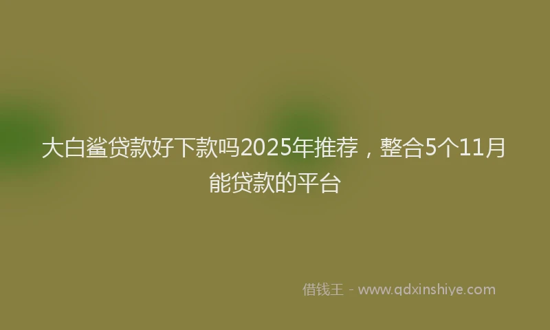 大白鲨贷款好下款吗2025年推荐，整合5个11月能贷款的平台