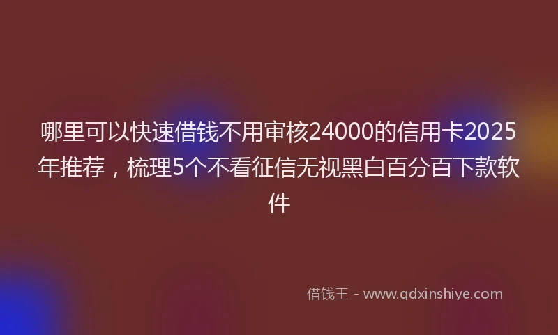 哪里可以快速借钱不用审核24000的信用卡2025年推荐，梳理5个不看征信无视黑白百分百下款软件