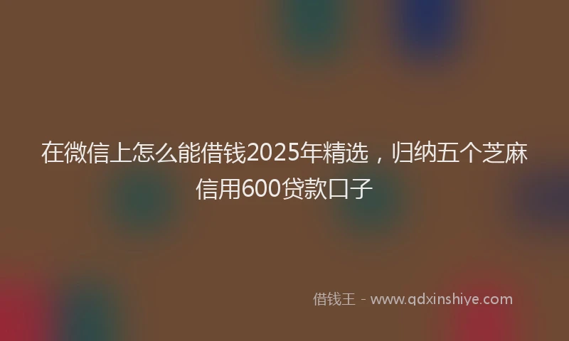 在微信上怎么能借钱2025年精选，归纳五个芝麻信用600贷款口子