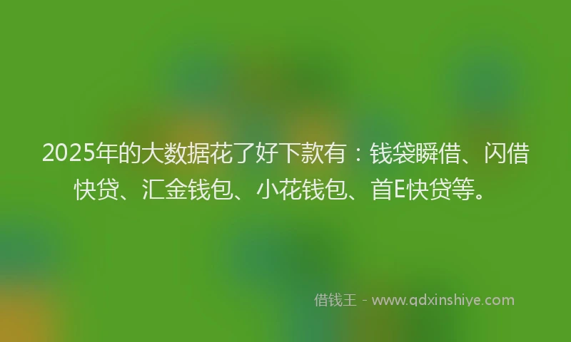 2025年的大数据花了好下款有：钱袋瞬借、闪借快贷、汇金钱包、小花钱包、首E快贷等。