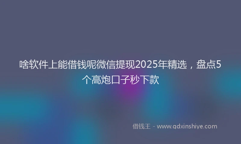 啥软件上能借钱呢微信提现2025年精选，盘点5个高炮口子秒下款
