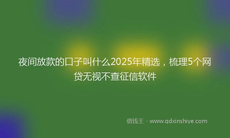 夜间放款的口子叫什么2025年精选，梳理5个网贷无视不查征信软件