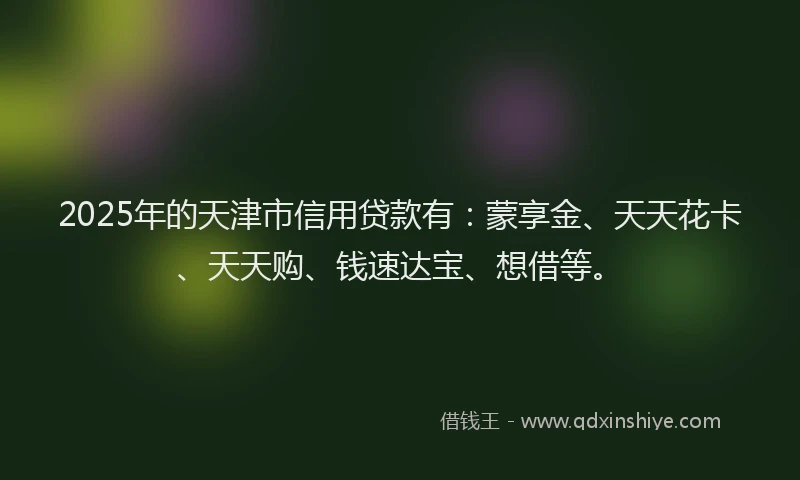 2025年的天津市信用贷款有：蒙享金、天天花卡、天天购、钱速达宝、想借等。