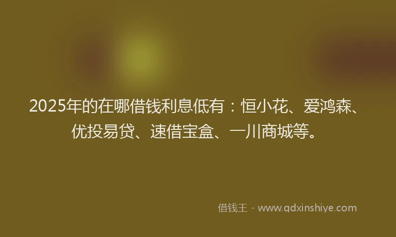 2025年的在哪借钱利息低有：恒小花、爱鸿森、优投易贷、速借宝盒、一川商城等。