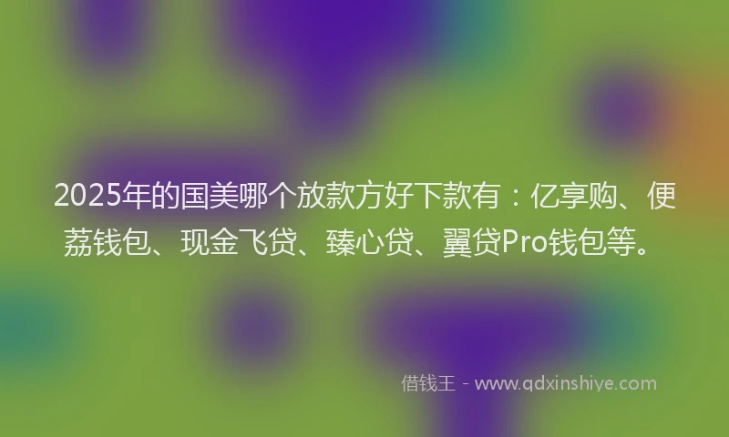 2025年的国美哪个放款方好下款有：亿享购、便荔钱包、现金飞贷、臻心贷、翼贷Pro钱包等。