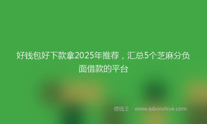 好钱包好下款拿2025年推荐，汇总5个芝麻分负面借款的平台