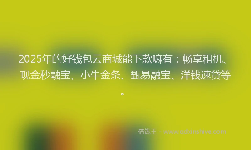 2025年的好钱包云商城能下款嘛有：畅享租机、现金秒融宝、小牛金条、甄易融宝、洋钱速贷等。