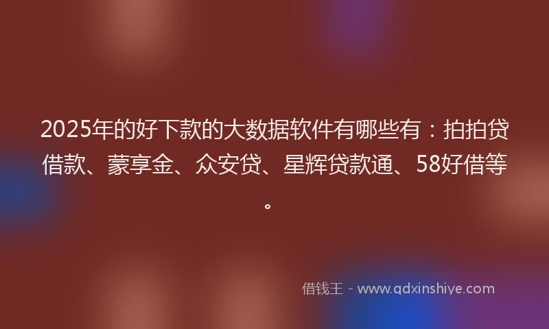 2025年的好下款的大数据软件有哪些有：拍拍贷借款、蒙享金、众安贷、星辉贷款通、58好借等。