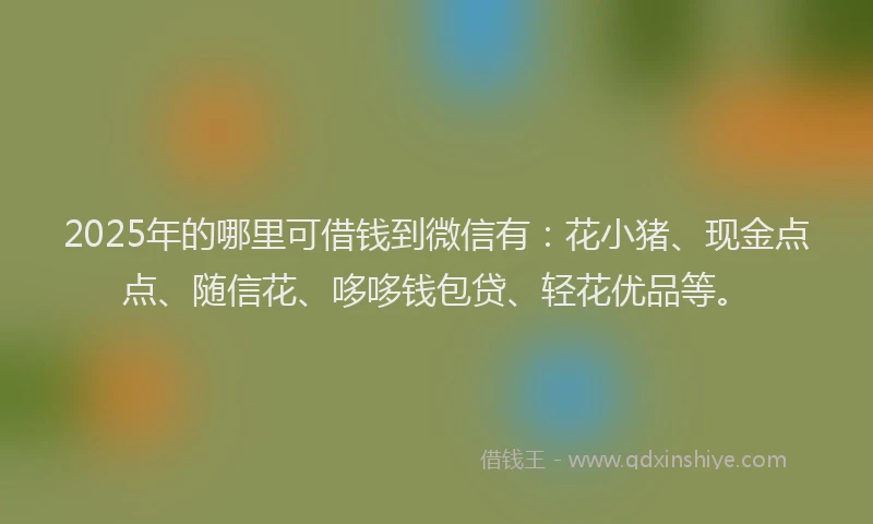 2025年的哪里可借钱到微信有：花小猪、现金点点、随信花、哆哆钱包贷、轻花优品等。