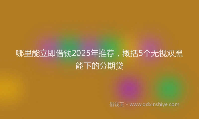 哪里能立即借钱2025年推荐，概括5个无视双黑能下的分期贷