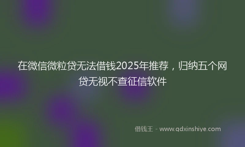 在微信微粒贷无法借钱2025年推荐，归纳五个网贷无视不查征信软件
