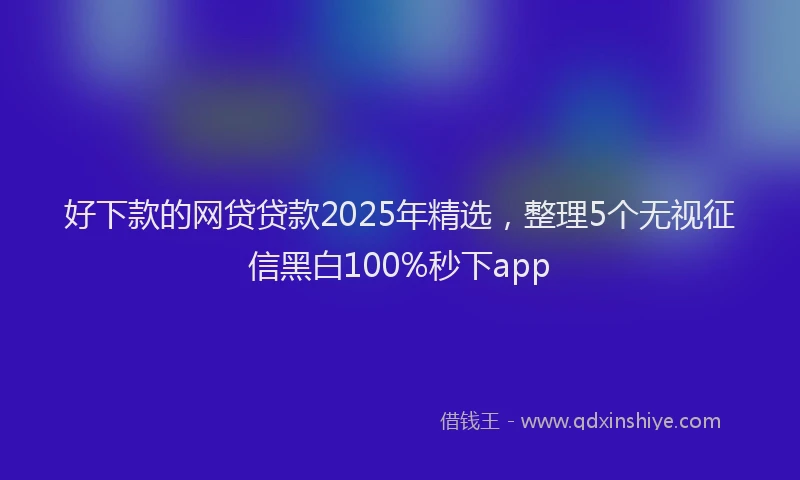 好下款的网贷贷款2025年精选，整理5个无视征信黑白100%秒下app