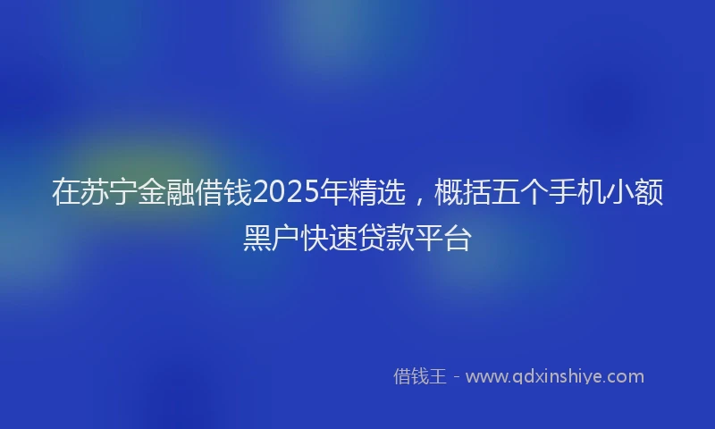 在苏宁金融借钱2025年精选，概括五个手机小额黑户快速贷款平台