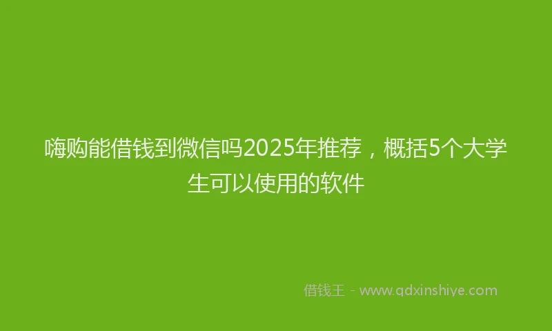 嗨购能借钱到微信吗2025年推荐，概括5个大学生可以使用的软件