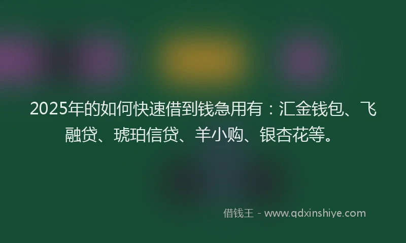 2025年的如何快速借到钱急用有：汇金钱包、飞融贷、琥珀信贷、羊小购、银杏花等。