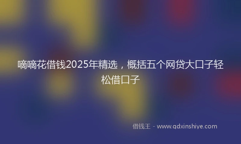嘀嘀花借钱2025年精选，概括五个网贷大口子轻松借口子